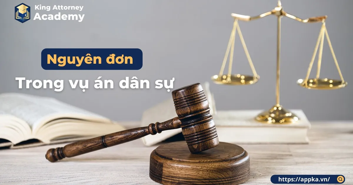 NGUYÊN ĐƠN TRONG VỤ ÁN DÂN SỰ