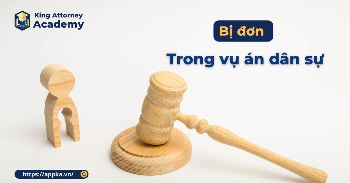 BỊ ĐƠN TRONG VỤ ÁN DÂN SỰ