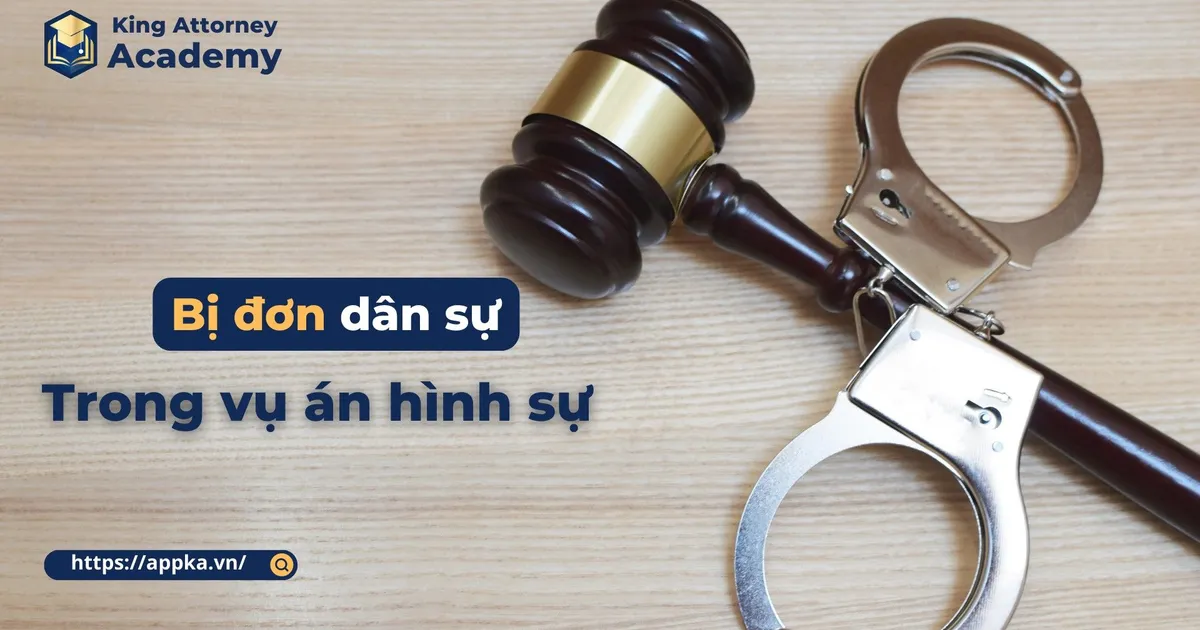 BỊ ĐƠN DÂN SỰ TRONG VỤ ÁN HÌNH SỰ